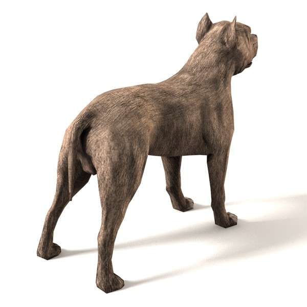 Pit Bull Low-poly 3D model_1