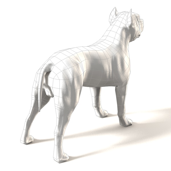Pit Bull Low-poly 3D model_4