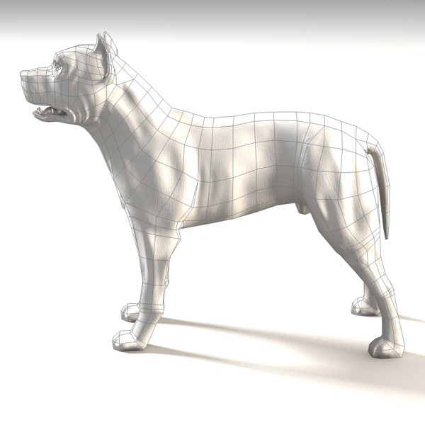 Pit Bull Low-poly 3D model_2