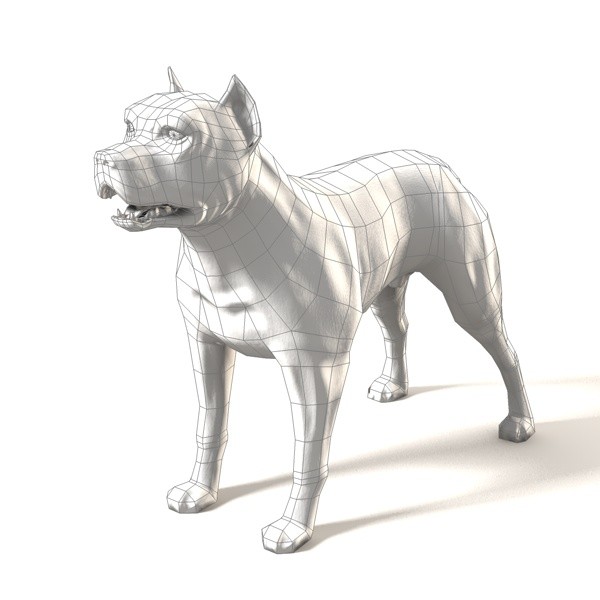 Pit Bull Low-poly 3D model_3