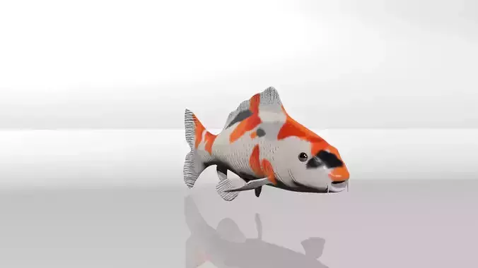 Koi Fish