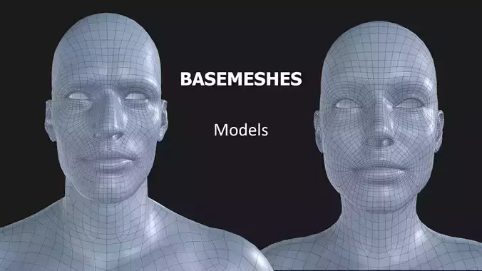 Basemeshes