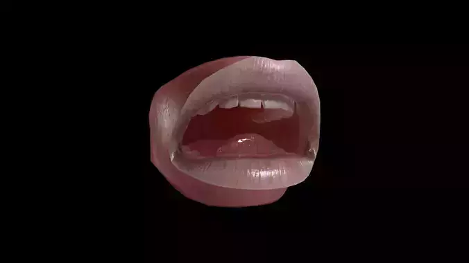 TMTH-001 Rigged Mouth Low-poly 3D model
