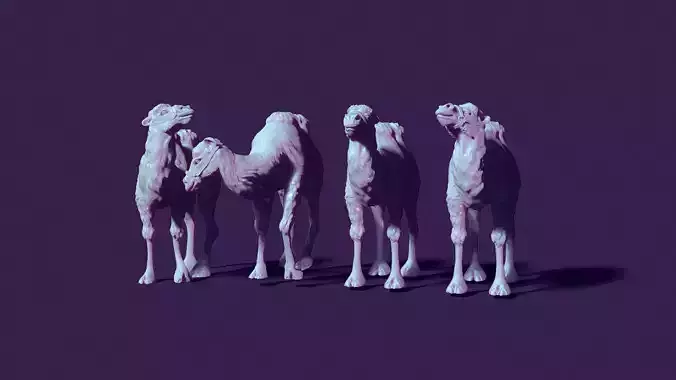 four toy camels for creating scenes or just for playing 3D print model