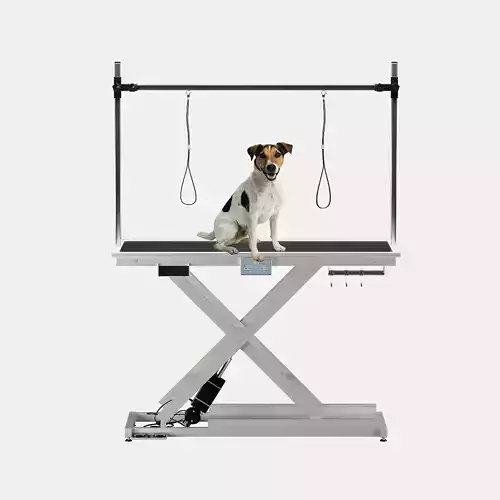 3D Grooming Table 3D model