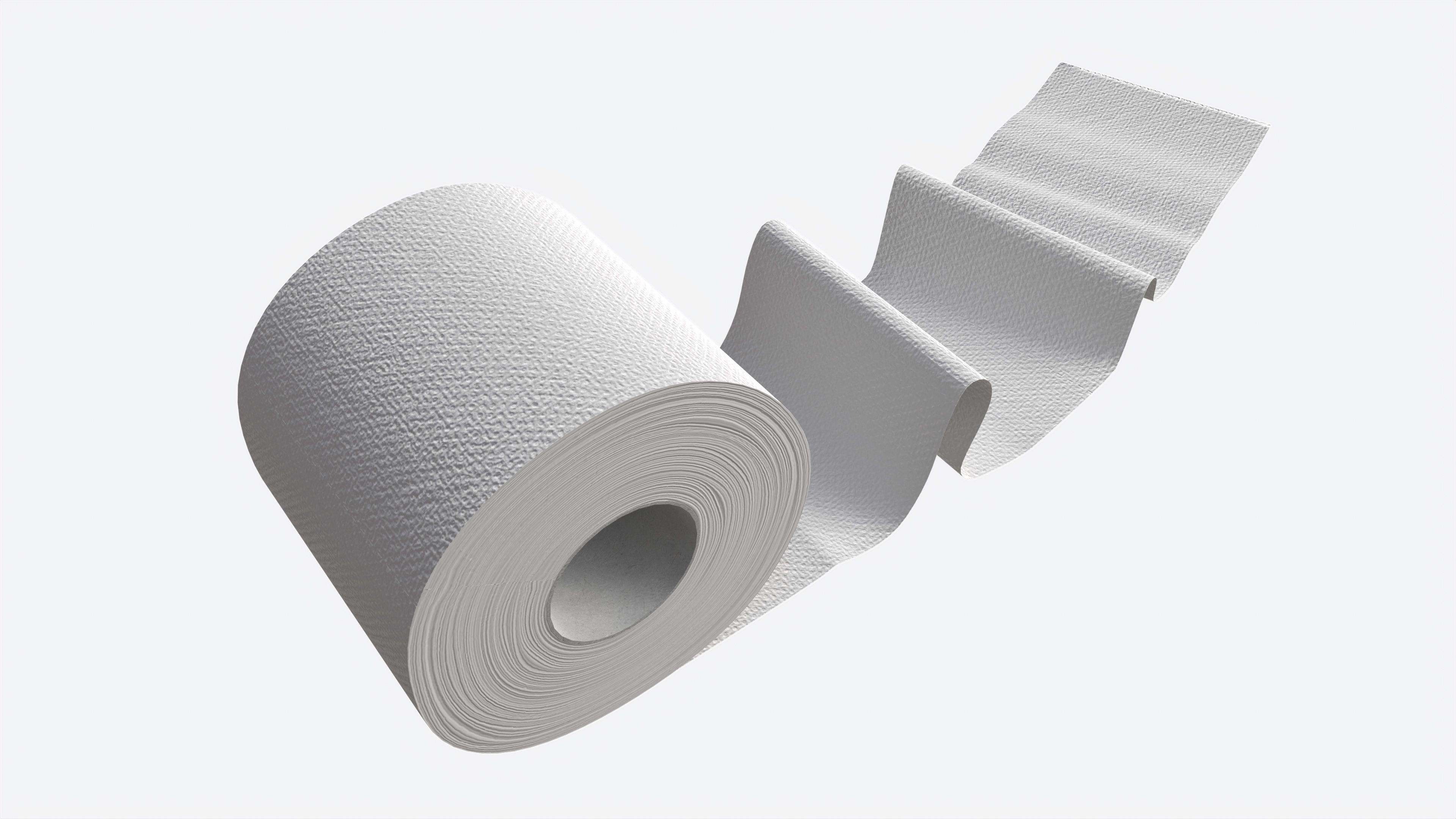 Toilet Paper Roll with Unrolled Part 3D model_2