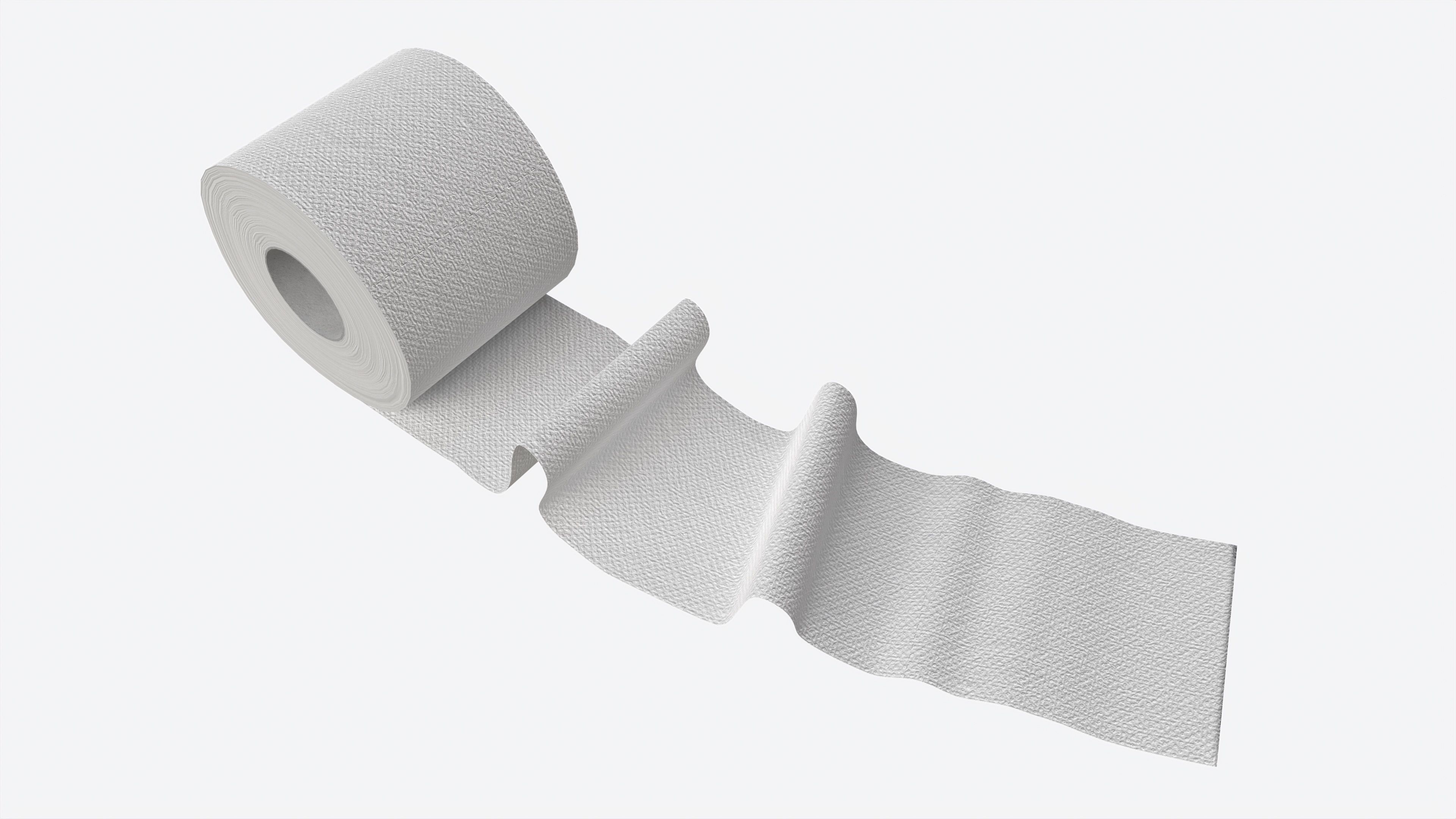Toilet Paper Roll with Unrolled Part 3D model_1