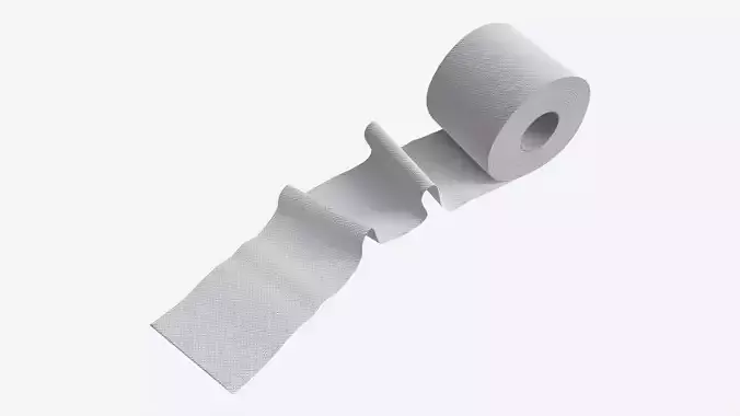 Toilet Paper Roll with Unrolled Part
