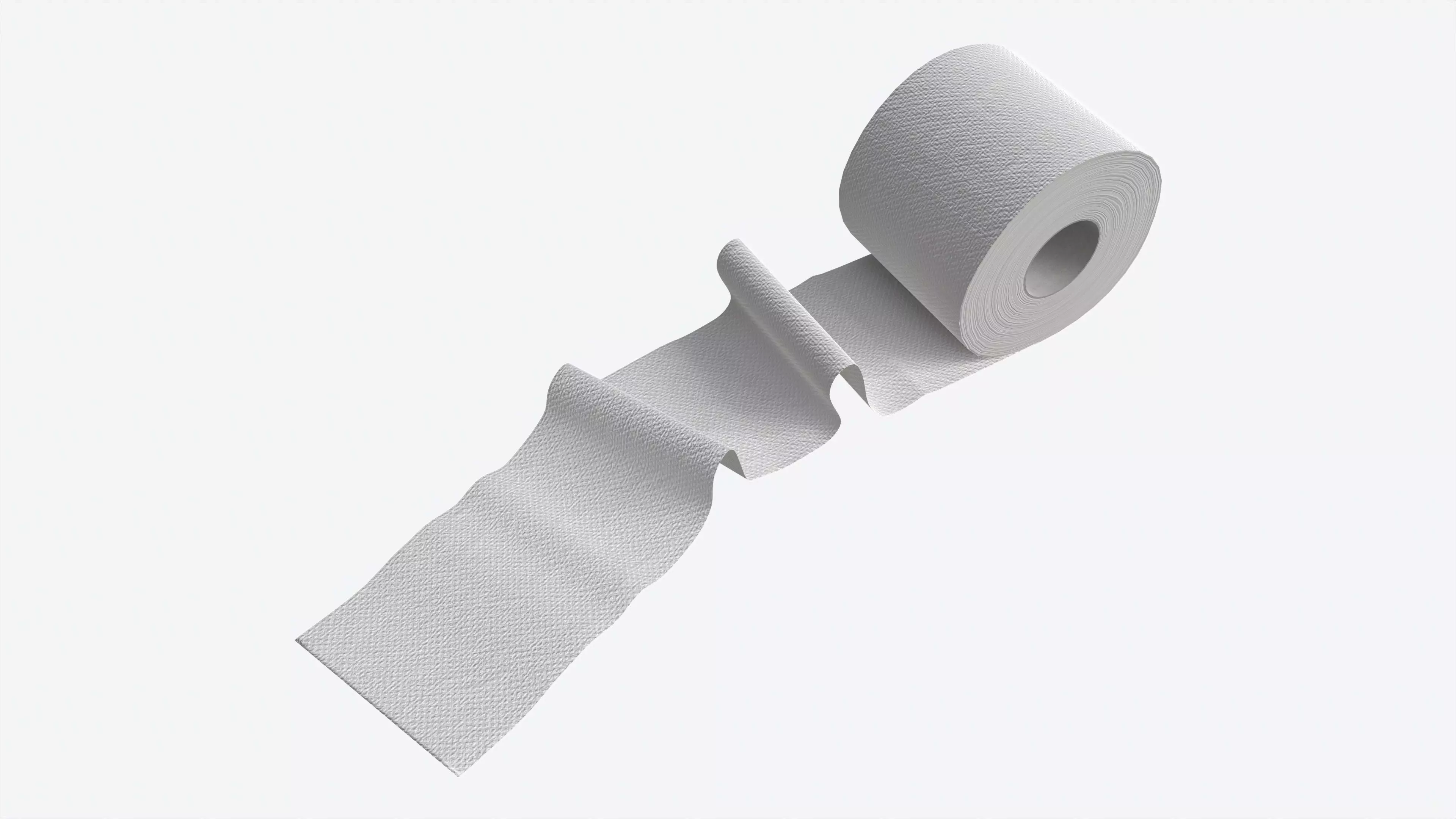 Toilet Paper Roll with Unrolled Part 3D model_0