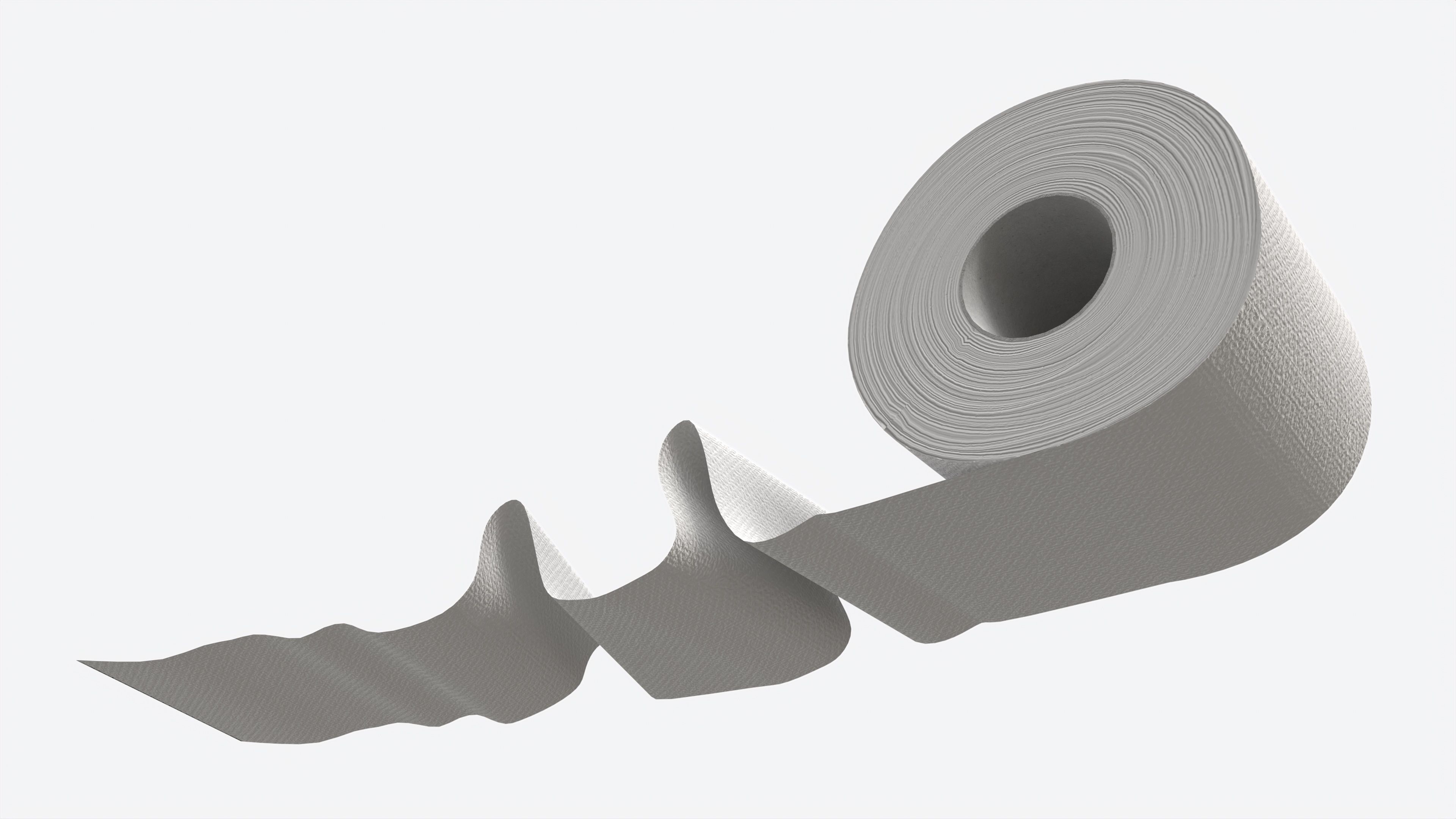 Toilet Paper Roll with Unrolled Part 3D model_3