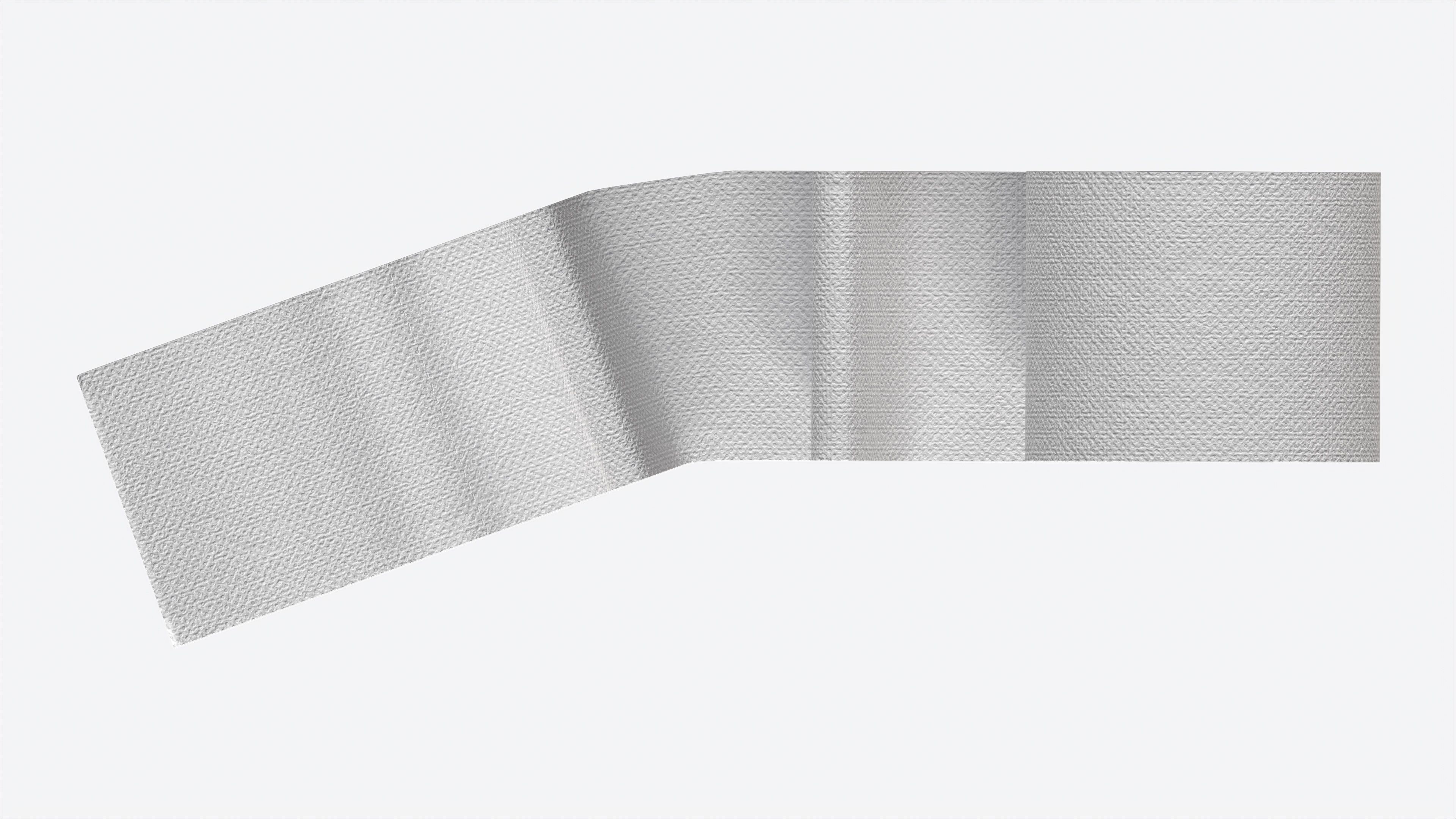 Toilet Paper Roll with Unrolled Part 3D model_5