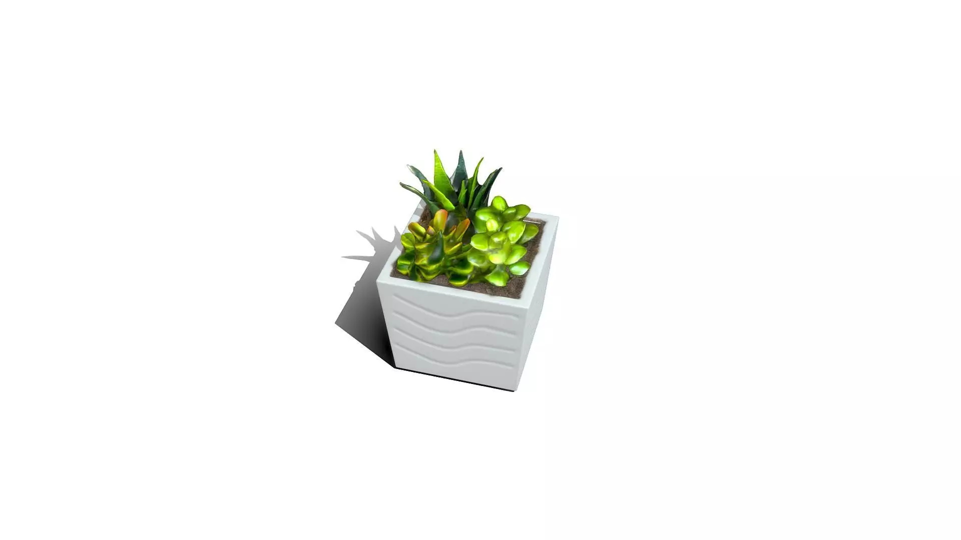 A potted flower Free 3D model