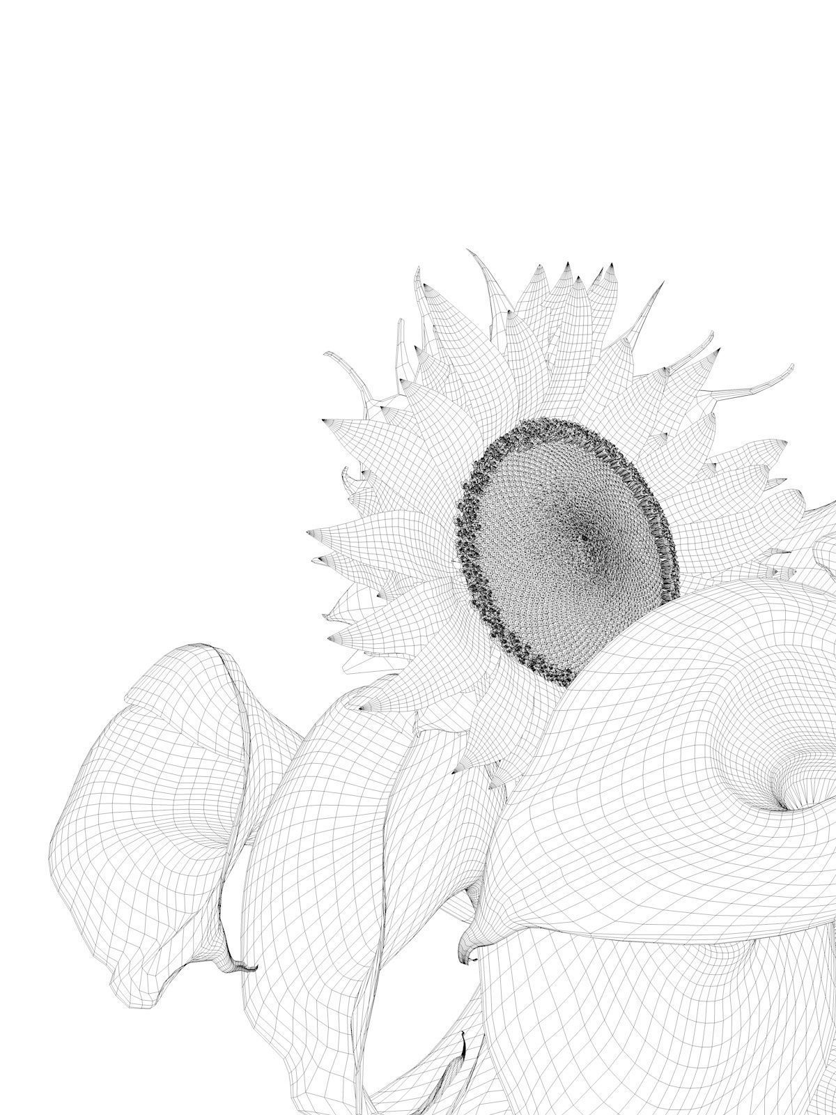 Vase with Flowers 2 3D model_4