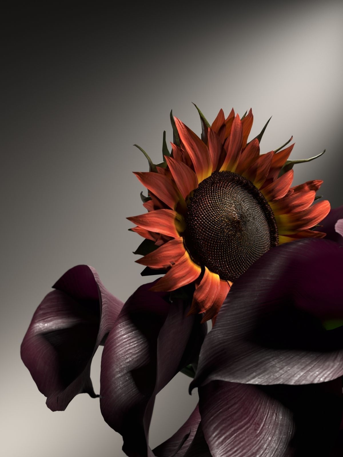 Vase with Flowers 2 3D model_2