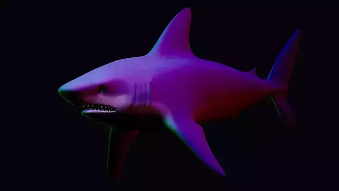 Shark