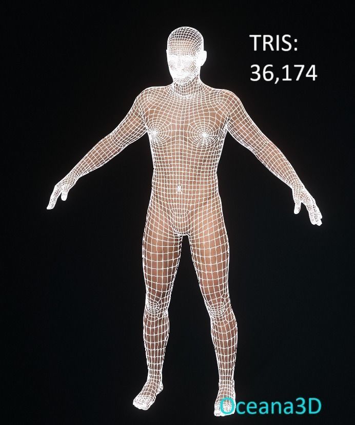 Realistic Caucasian Male Base Model RIGGED Low-poly 3D model_2