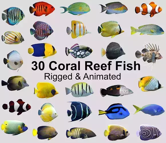 Coral Reef Fish Collection Animated - Game Ready pack 8 Low-poly 3D model
