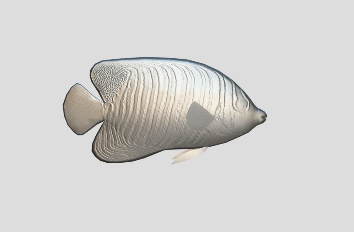 Coral Reef Fish Collection Animated - Game Ready Pack 9 Low-poly 3D model_39