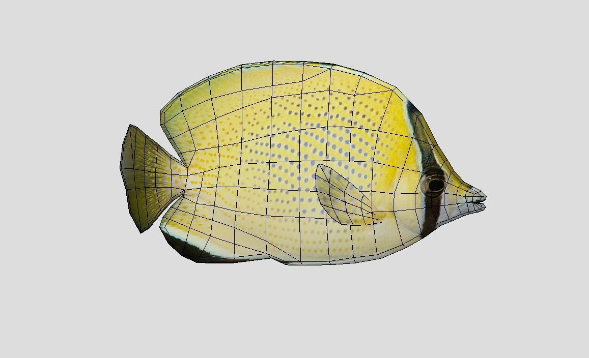 Coral Reef Fish Collection Animated - Game Ready Pack 9 Low-poly 3D model_48