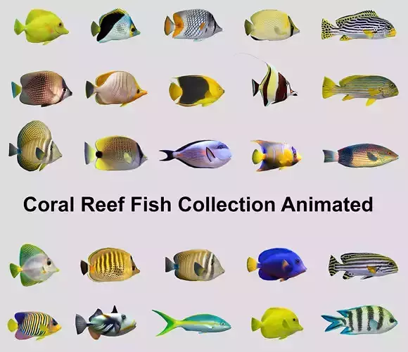 Coral Reef Fish Collection Animated - Game Ready Pack 9 Low-poly 3D model