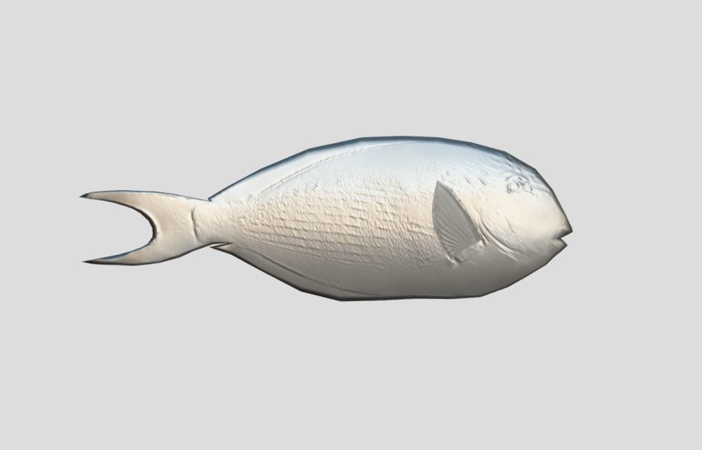 Coral Reef Fish Collection Animated - Game Ready Pack 9 Low-poly 3D model_67