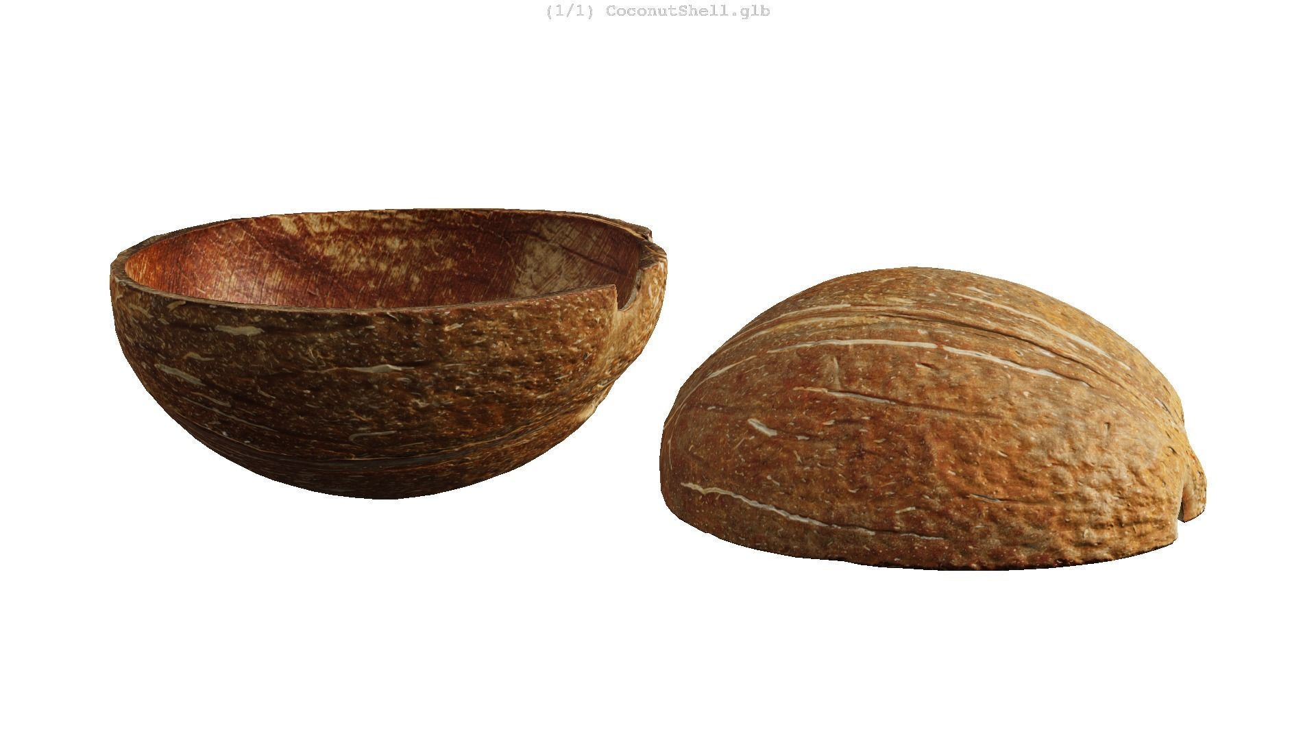 Coconut Shell - Photogrammetry Scan Low-poly 3D model_11