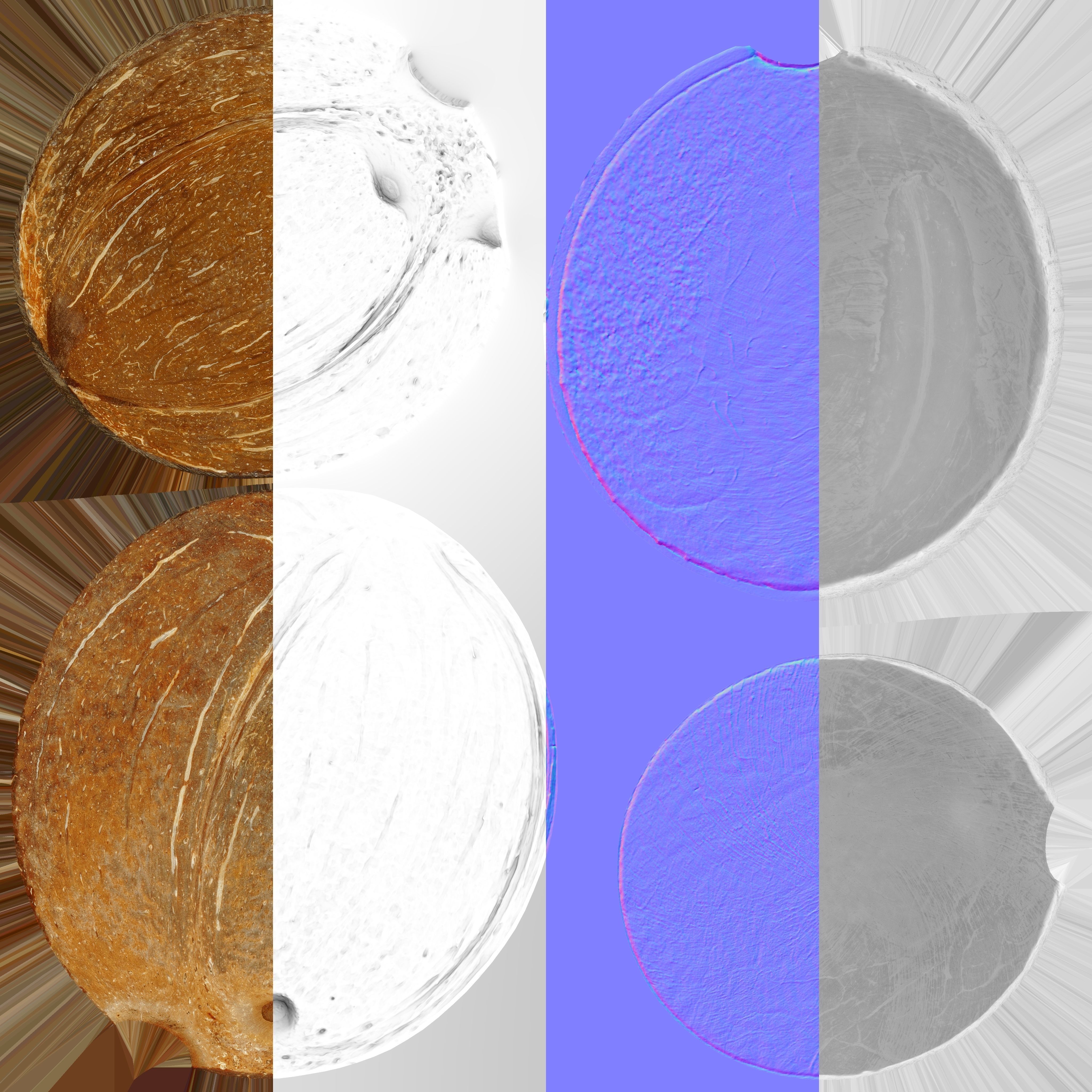 Coconut Shell - Photogrammetry Scan Low-poly 3D model_14