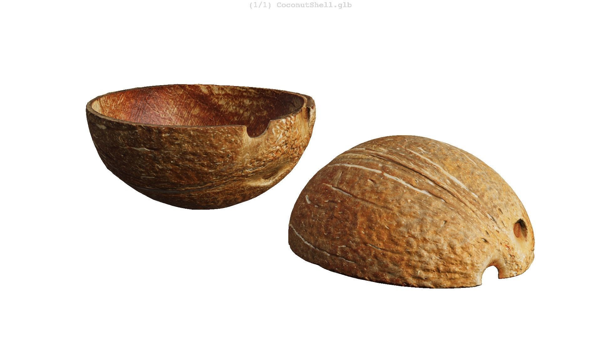 Coconut Shell - Photogrammetry Scan Low-poly 3D model_12