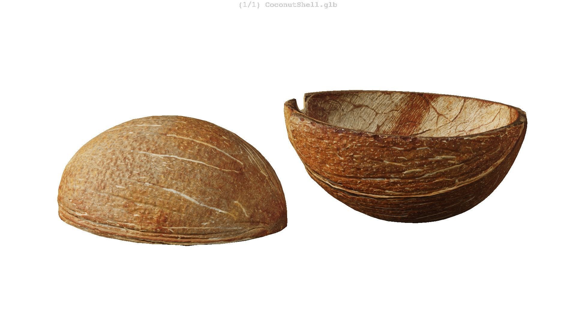 Coconut Shell - Photogrammetry Scan Low-poly 3D model_13