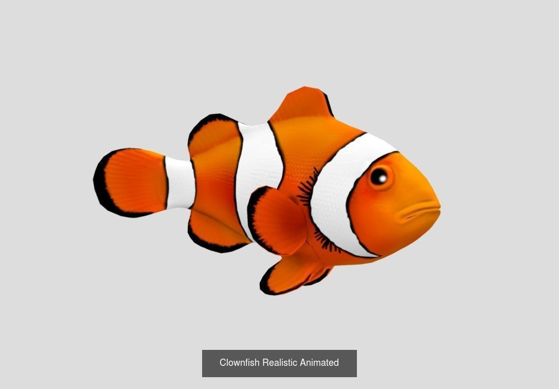 Coral Reef Fish Collection animated - Game Ready pack 8 _28