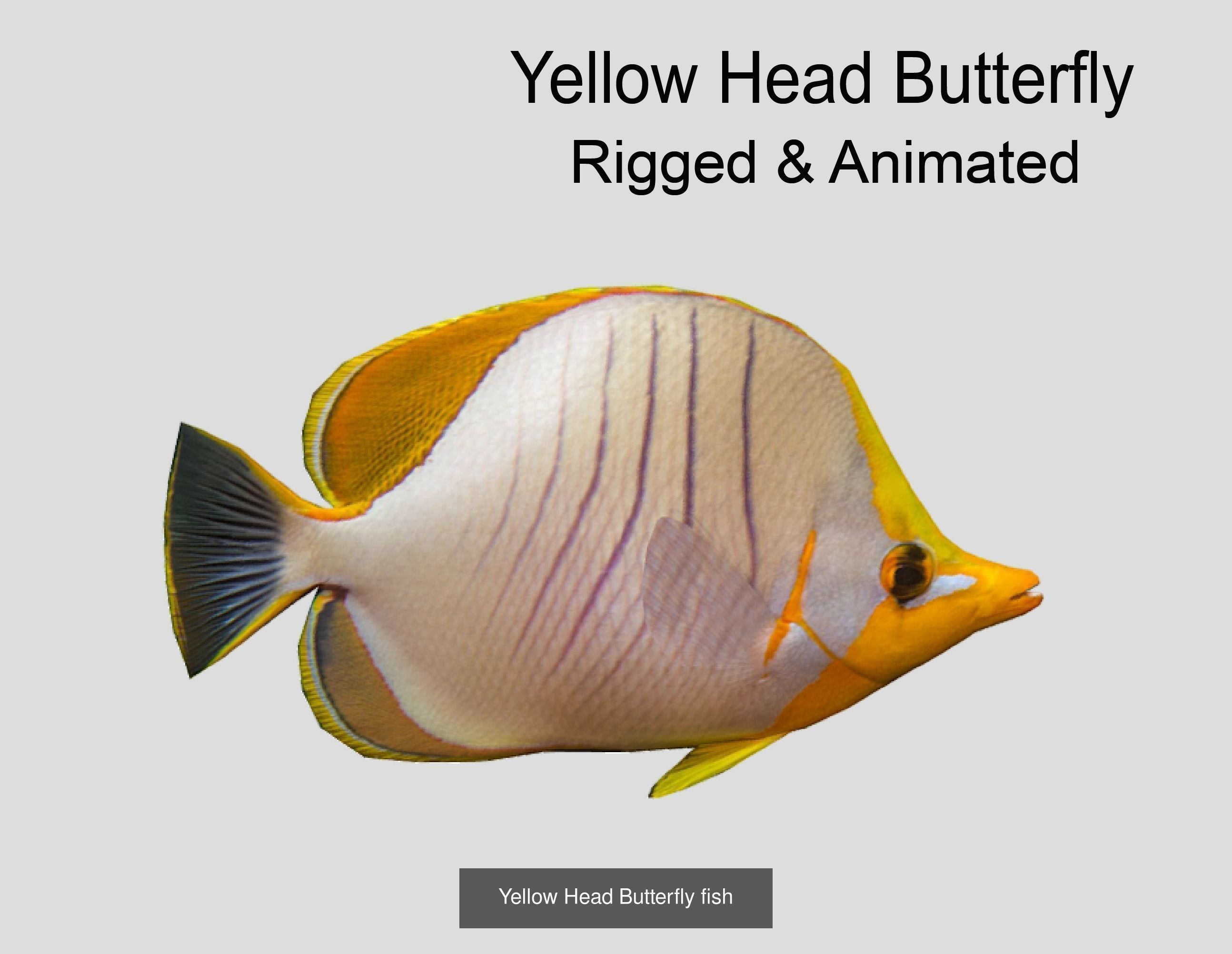 Coral Reef Fish Collection animated - Game Ready pack 8 _49