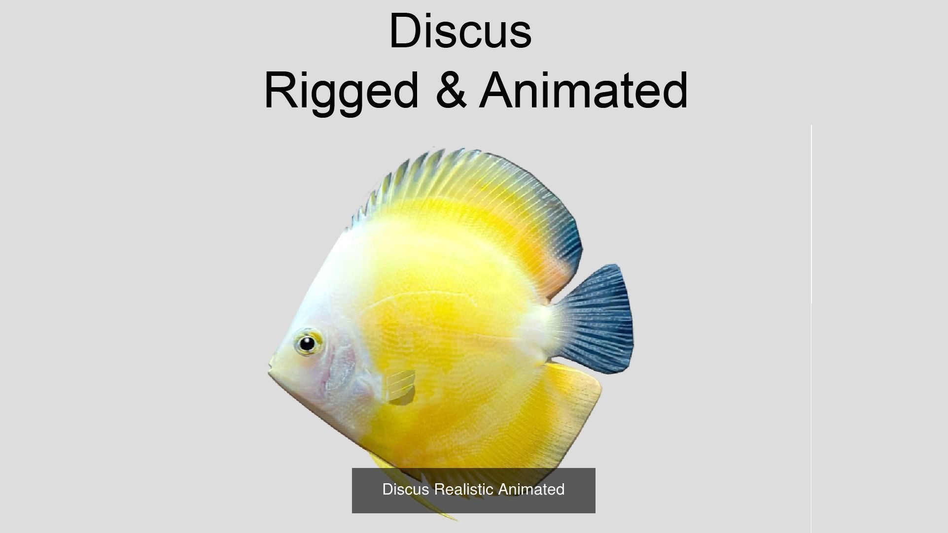 Coral Reef Fish Collection animated - Game Ready pack 8 _29