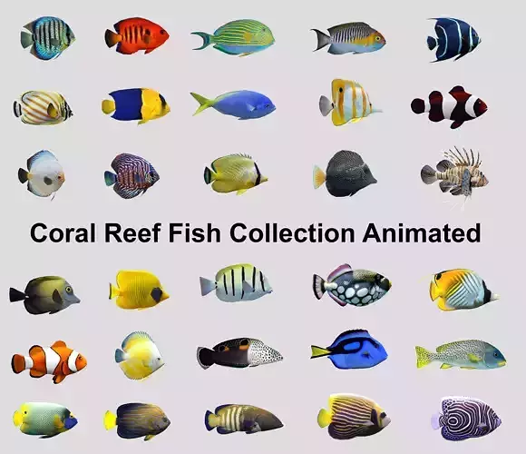 Coral Reef Fish Collection animated - Game Ready pack 8 