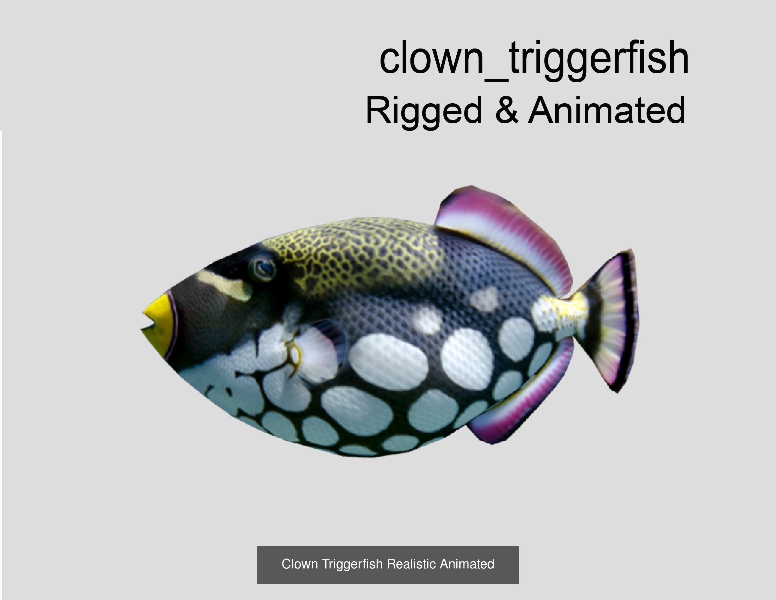 Coral Reef Fish Collection animated - Game Ready pack 8 _27