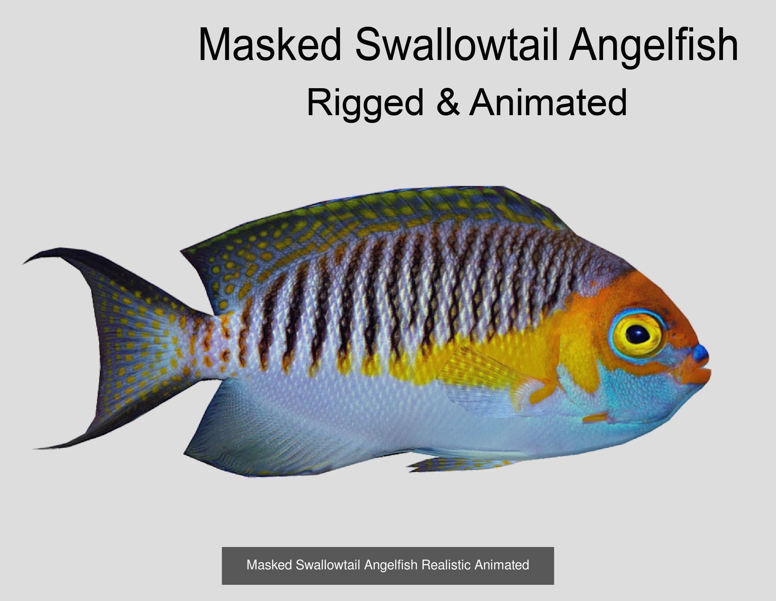 Coral Reef Fish Collection animated - Game Ready pack 8 _44