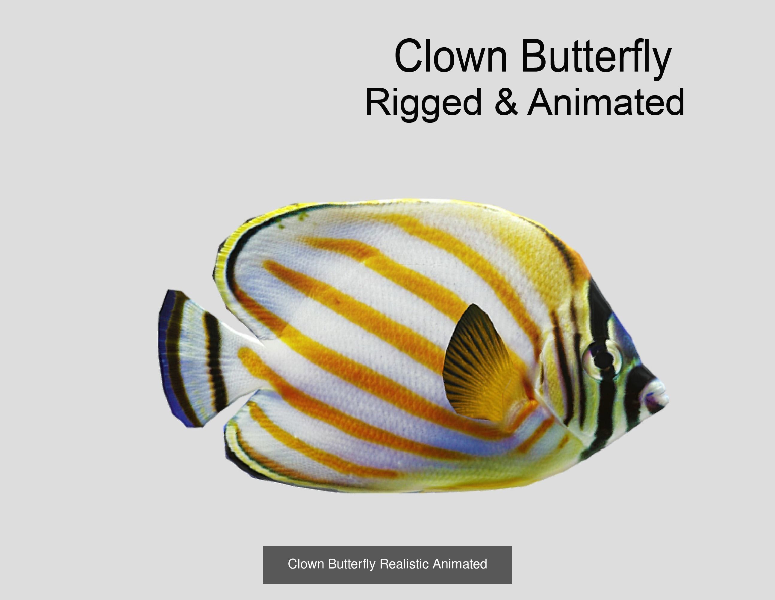 Coral Reef Fish Collection animated - Game Ready pack 8 _39