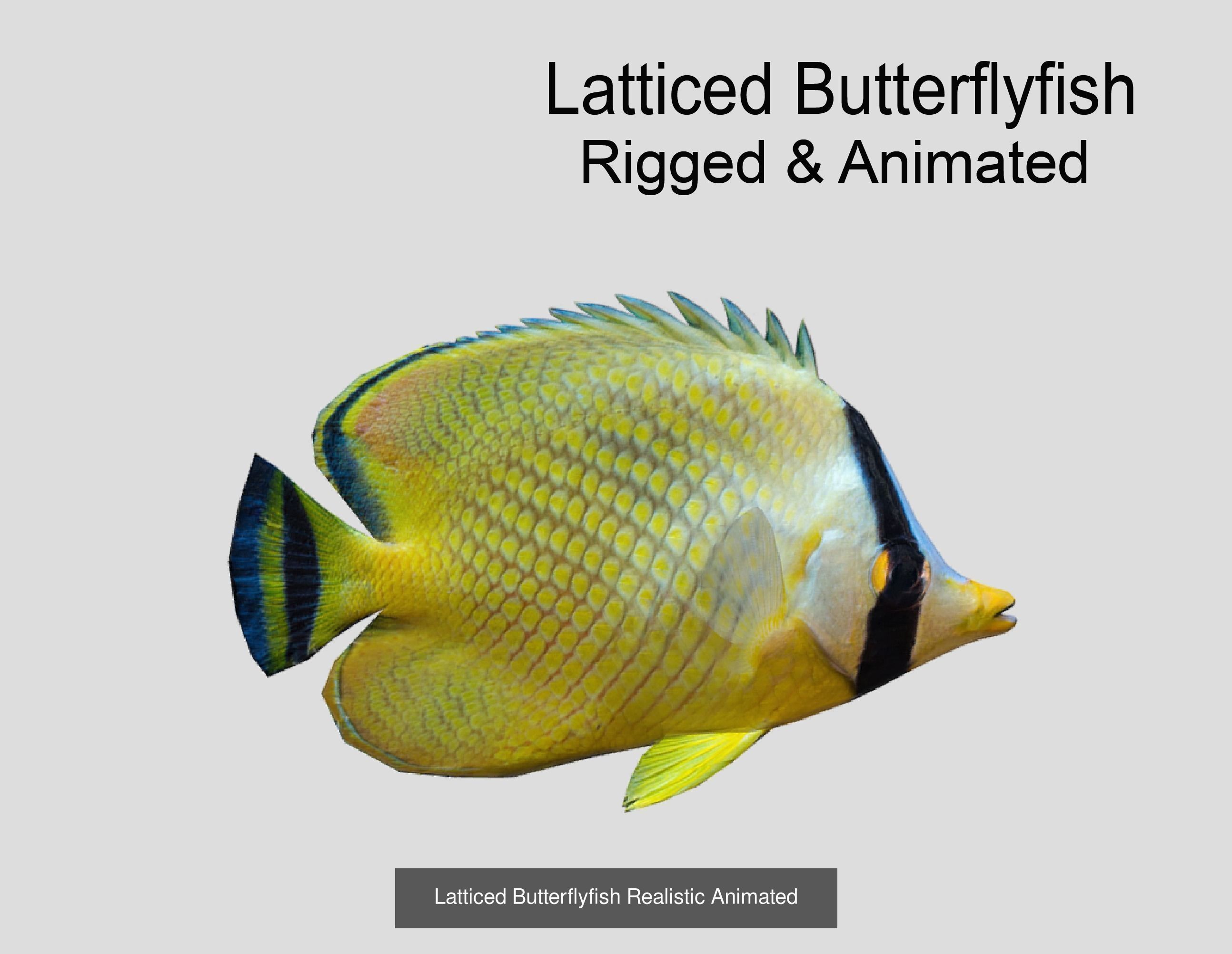 Coral Reef Fish Collection animated - Game Ready pack 8 _38