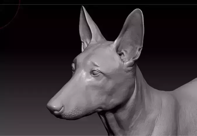 jerman seaford dog Free 3D model