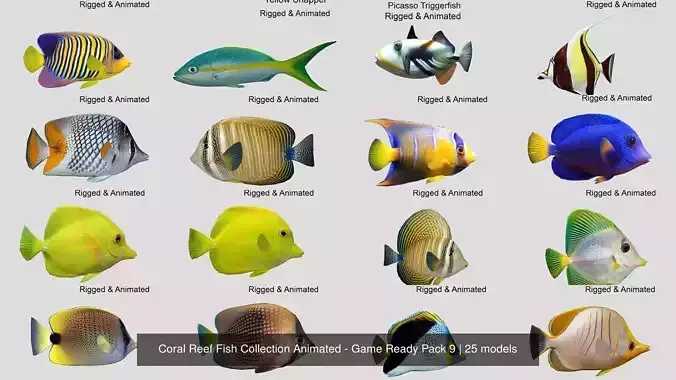 Coral Reef Fish Collection Animated - Game Ready Pack 9