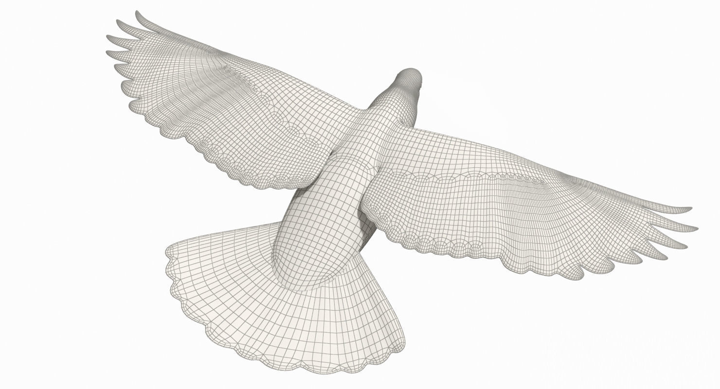Pigeon Low-poly 3D model_7