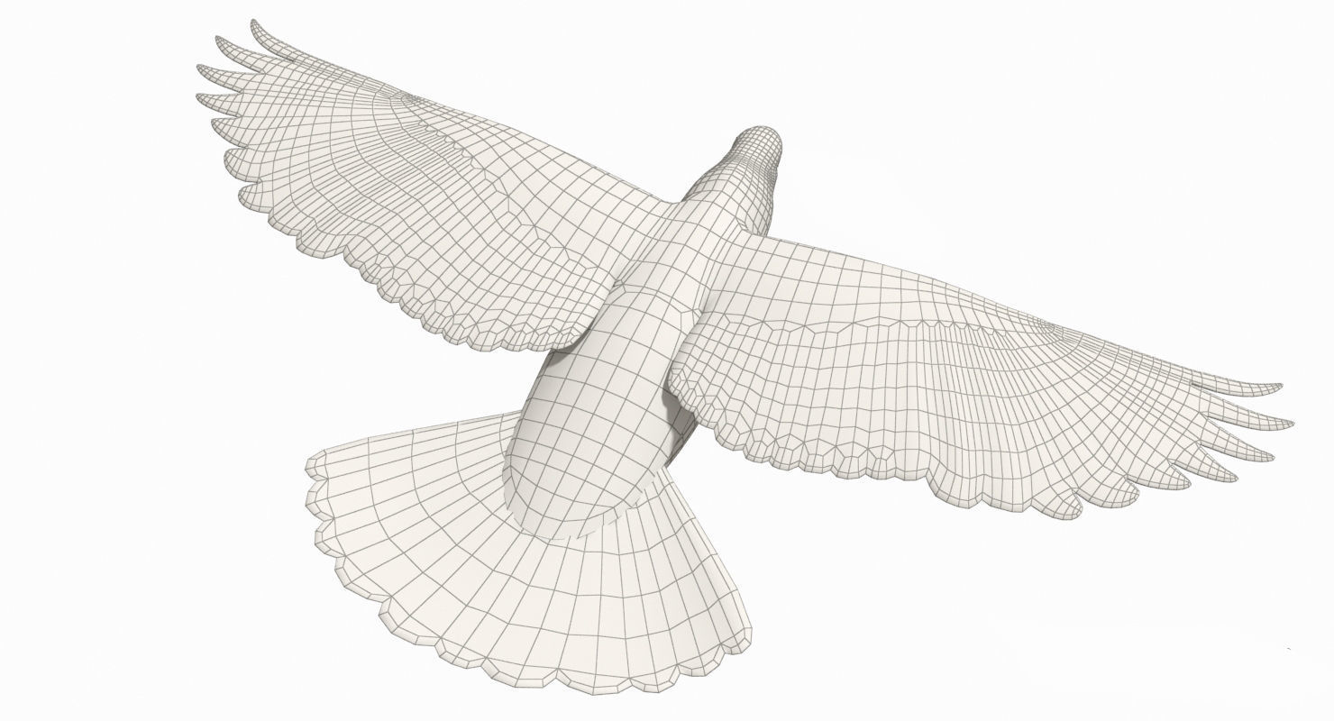 Pigeon Low-poly 3D model_6