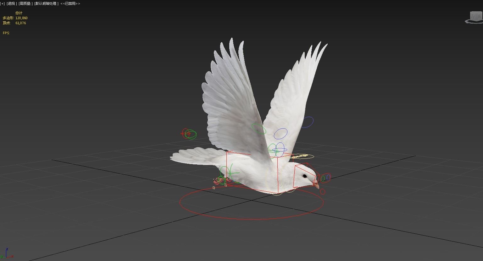 Pigeon Low-poly 3D model_8