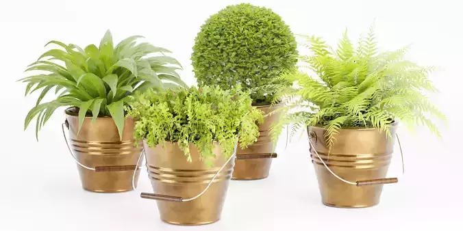 outdoor natural plants collection vol 65-Blender