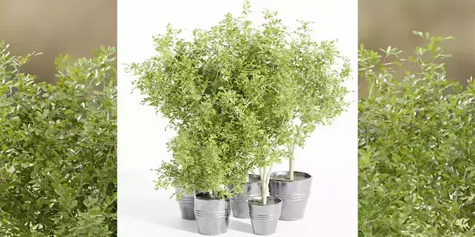 indoor outdoor collection vol 66-Blender