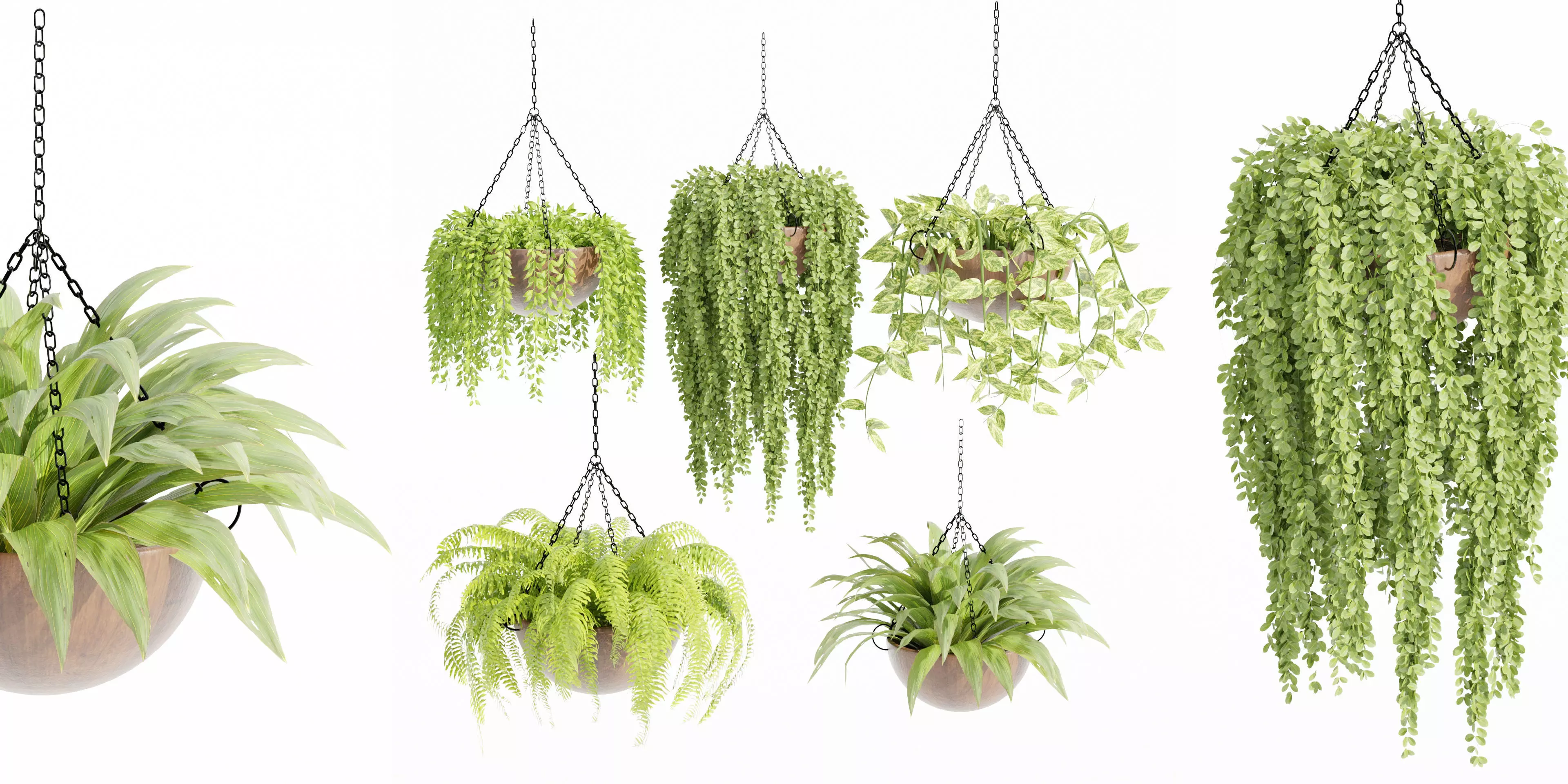 Hanging plants collection vol 33-Blender 3D model_0