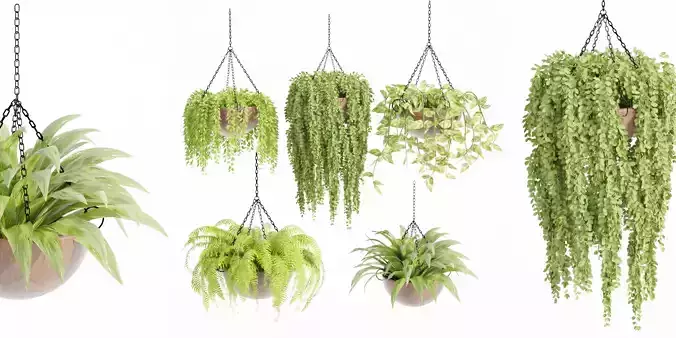 Hanging plants collection vol 33-Blender 3D model