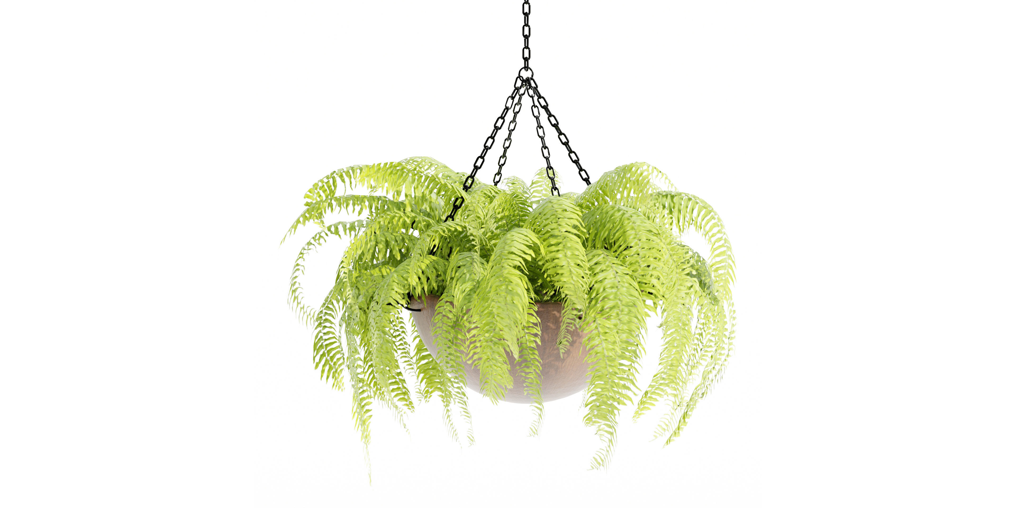 Hanging plants collection vol 33-Blender 3D model_7