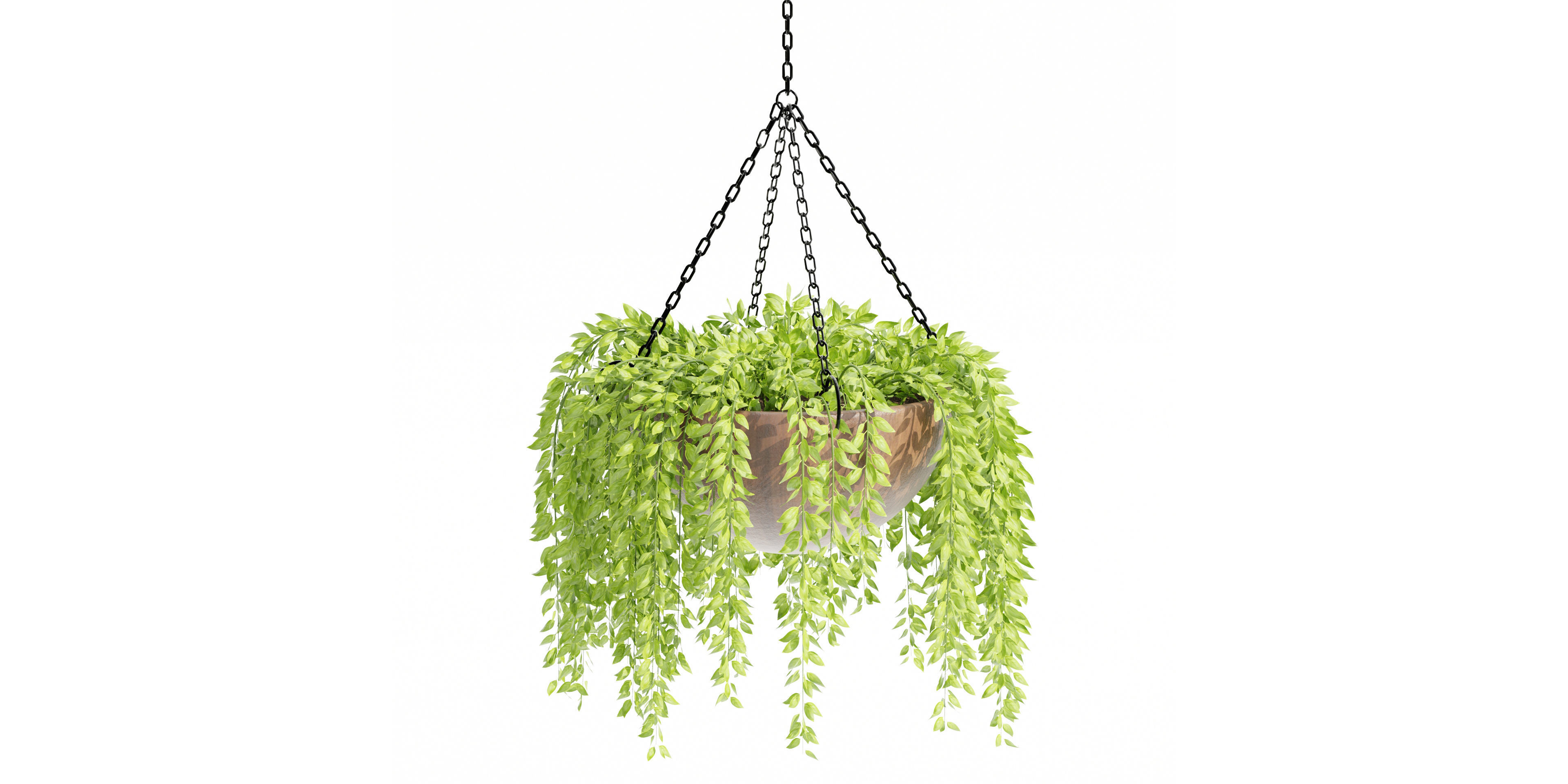 Hanging plants collection vol 33-Blender 3D model_4