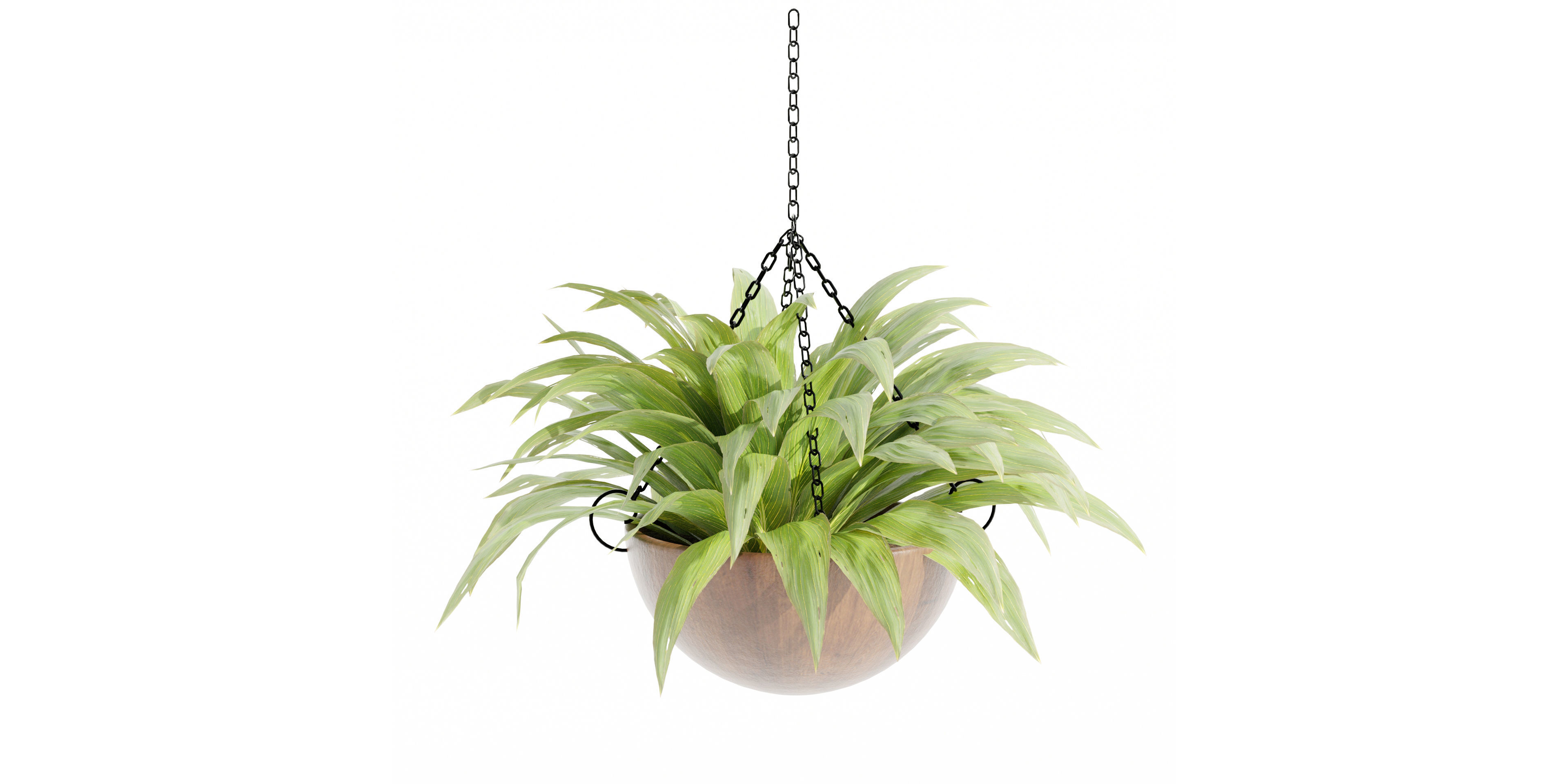 Hanging plants collection vol 33-Blender 3D model_3