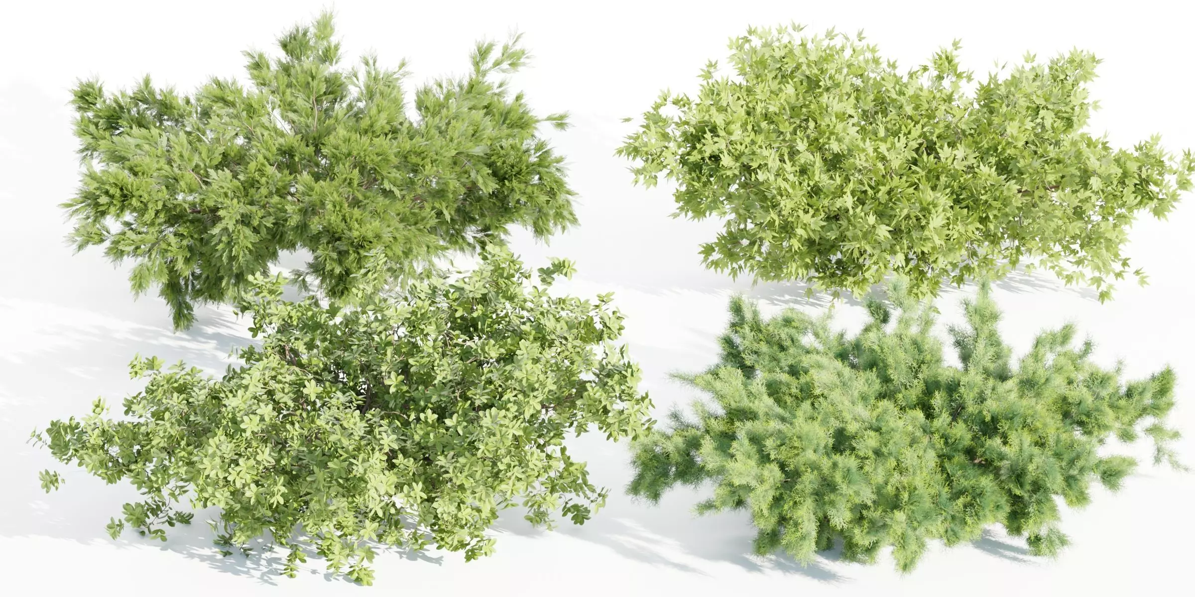 outdoor bushes collection vol 9-Blender 3D model